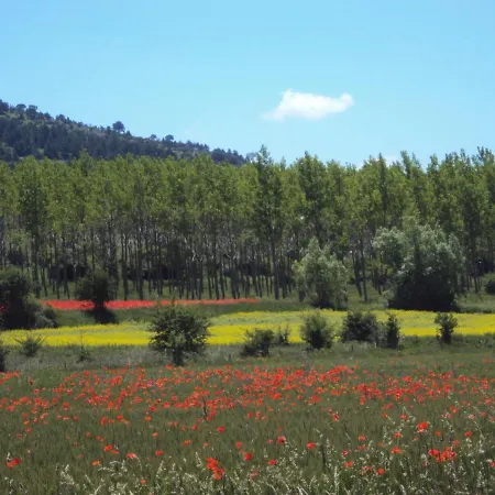 Alcala De La Selva Apartman *