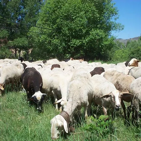 Alcala De La Selva Apartman *