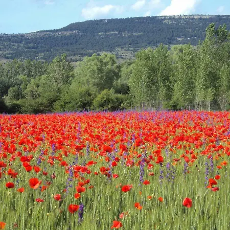شقة Alcala De La Selva La Virgen de la Vega