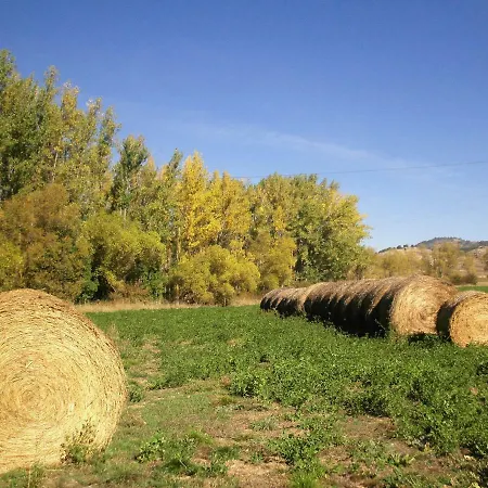 Alcala De La Selva La Virgen de la Vega