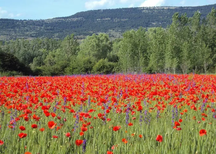Lägenhet Alcala De La Selva La Virgen de la Vega