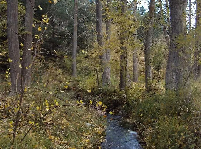 Lägenhet Alcala De La Selva *